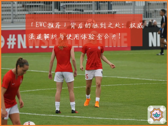 「EWC推荐」背后的独到之处：权威渠道解析与使用体验全公开！
