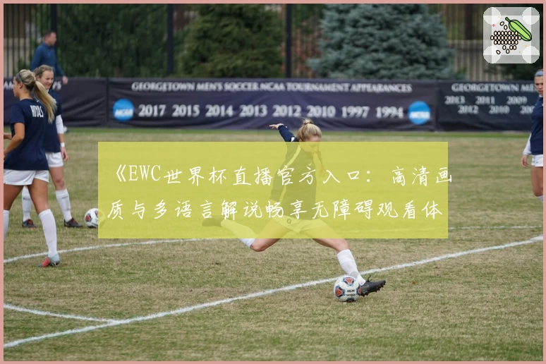 《EWC世界杯直播官方入口：高清画质与多语言解说畅享无障碍观看体验》